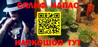 apvp Коммунар
