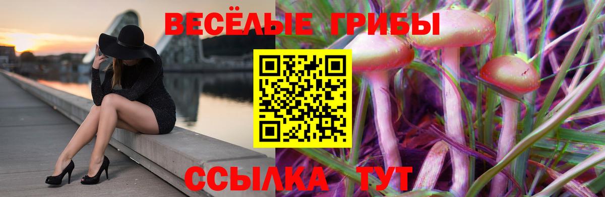 Псилоцибиновые грибы Psilocybe Комсомольск-на-Амуре